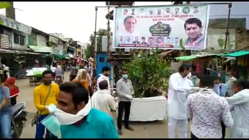 पिपरिया: स्व. राजीव गांधी जयंती पर कांग्रेसियों ने ज़िले में वितरित किए 5000 पौधे #कांग्रेस #राजीव_गाँधी