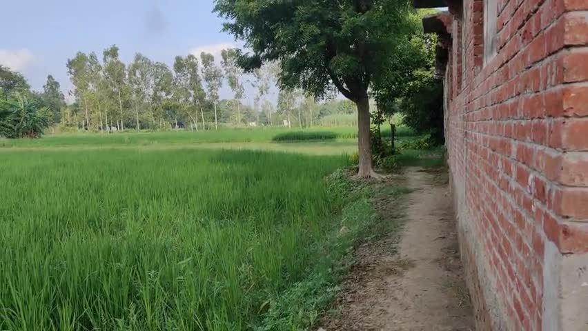 पट्टी: कोहरांव गांव में सड़क की व्यवस्था कराएं।

#पट्टी #प्रतापगढ़ #भाजपा_सरकार﻿@﻿@﻿@#﻿@﻿@