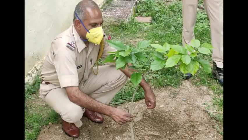 भीम: दिवेर थाना परिसर में थानाधिकारी लक्ष्मणसिंह चुंडावत ने किया पौधारोपण #थानाधिकारी