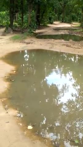 उदयपुर: एन. एच.130 गुमगा से कोटरबुड़ा होते हुए ग्राम परसा पहुँच मार्ग तालाबों में तब्दील आवाजाही करने  में हो रही दिक्कत#जर्जर