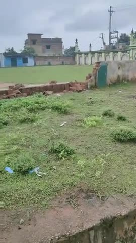 लोहरदगा: लोहरदगा क्षेत्र इस्लामनगर में तो पागल हाथी को देखा गया #लोहरदगा