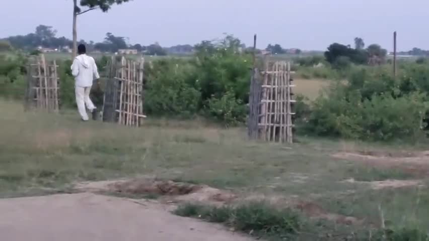 मयूरहंड: पर्यावरण संरक्षण को लेकर कदगांवाकला पंचायत सचिवालय परिसर में वन विभाग ने किया वृक्षारोपण #पर्यावरण_संरक्षण