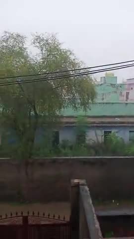 चरखी दादरी: चरखी दादरी में बारिश.....🥵#barish_news.