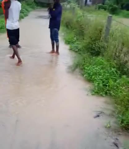 बनखेड़ी: gram Panchayat mahegwa bard no 7 ki halat #﻿@####jila