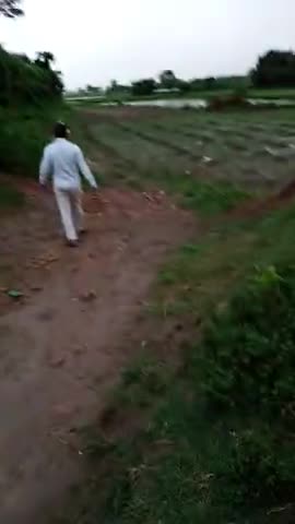 #सीमांचल के #पूर्णिया ज़िला में #जलालगढ़ शहर का 300 साल पुराना मुगलकालीन #जलालगढ़_किला जो अभी अपनी आखिरी साँसे गिन रहा है .