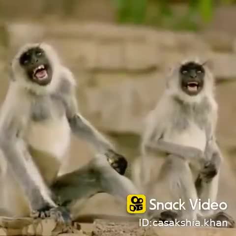 चतरा: ye video#﻿@#﻿@ #﻿@###mai#﻿@#n ye mo#﻿@﻿@#nkey log haste haste to pde#﻿@####﻿@#