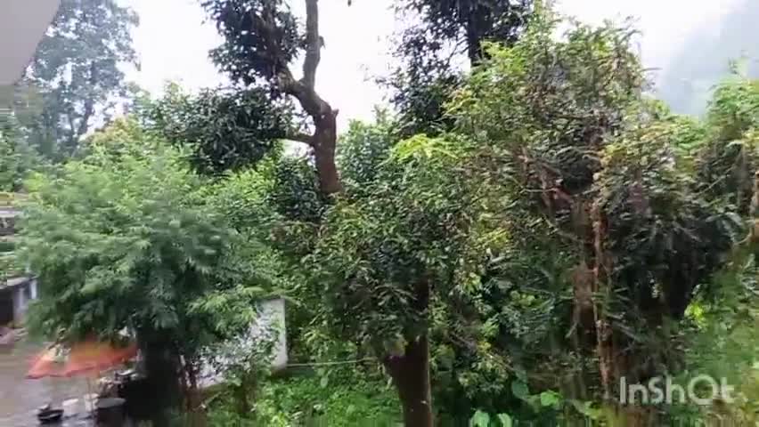 पिथौरागढ़: पिथौरागढ़ के मुवानी, थल में अचानक मुसलाधार बारिश हुए है और बारिश के मौसम झरना काफी अच्छा लगता है #उत्तराखंड#पिथौरागढ़