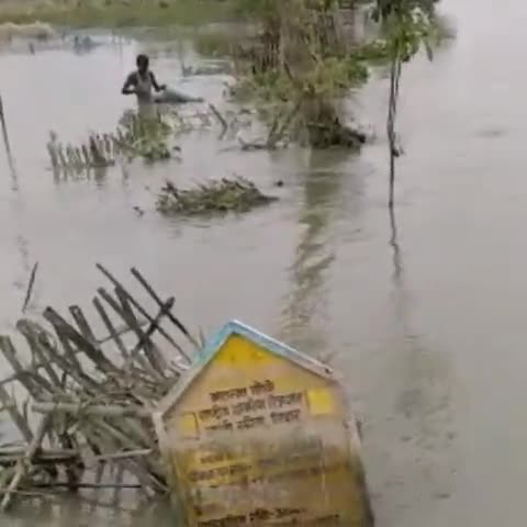 नवगछिया: कदवा दियारा में कोसी का कटाव हुआ तेज, वृक्षारोपण के लिए किया गया कार्य हो रहा है ध्वस्त #बाढ़ #कटाव