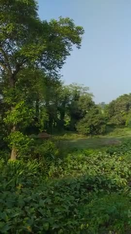भरगामा: अररिया जिले की ऐसी तश्वीरें आपने कही नही देखी होगी
#beautiful #amazing #nice