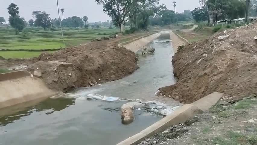 मयूरहंड: अंजनवा जलाशय से किसानों को पटवन के लिए सिंचाई विभाग ने छोड़ा पानी, किसानों में हर्ष #नहर #सिंचाई विभाग