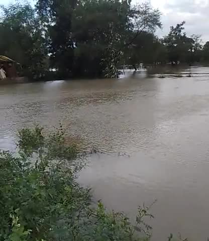जैजैपुर: #जलस्तर #ग्राम  harethikhurd me badha jal ka star logo ko pani pine ki smsya badh gya h