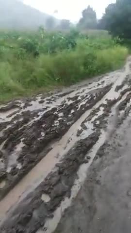 परसिया: लिखावाड़ी कोल्हूखेड़ा वार्ड नं.03 सड़क बनी नाला 1महिने पूर्व हुई थी मरम्मत  #rod ﻿#help #sadak ﻿#bjpmp #news