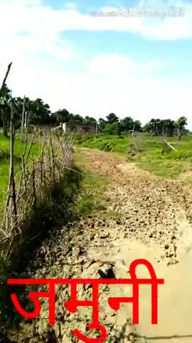 बाराचट्टी: बरवाडीह के पश्चिम भाग से जमुनी , बिलासपुर की जोड़ने वाली सड़कों की हालत ऐसी है।।
﻿#जमुनी ﻿#बिलासपुर#बरवाडीह 
#मोहनपुर