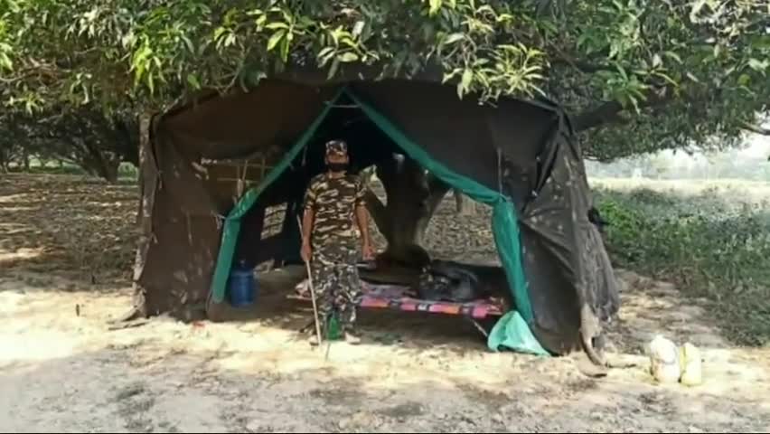 घोड़ासहन: घोड़ासहन के भारत-नेपाल सीमावर्ती क्षेत्र में विशेष निगरानी के लिए एसएसबी द्वारा बनाए गए कई अस्थाई कैंप #एसएसबी