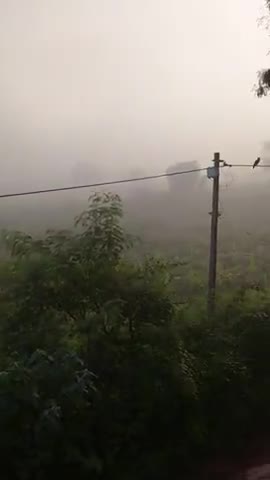 बेमेतरा: #नवागढ़ बलोक के ग्राम पेंड्रि में हुआ कोहरा वर्षा जिससे दूर दूर तक कुछ दिखाई नहीं दे रहा था
