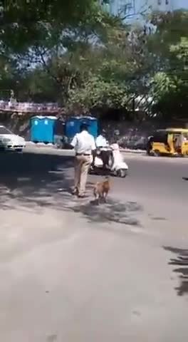 चित्तौड़गढ़: Humanity at it's best again..clearing the road for a very important “Pedestrian”
Salute to the cop!!
#chittorplus