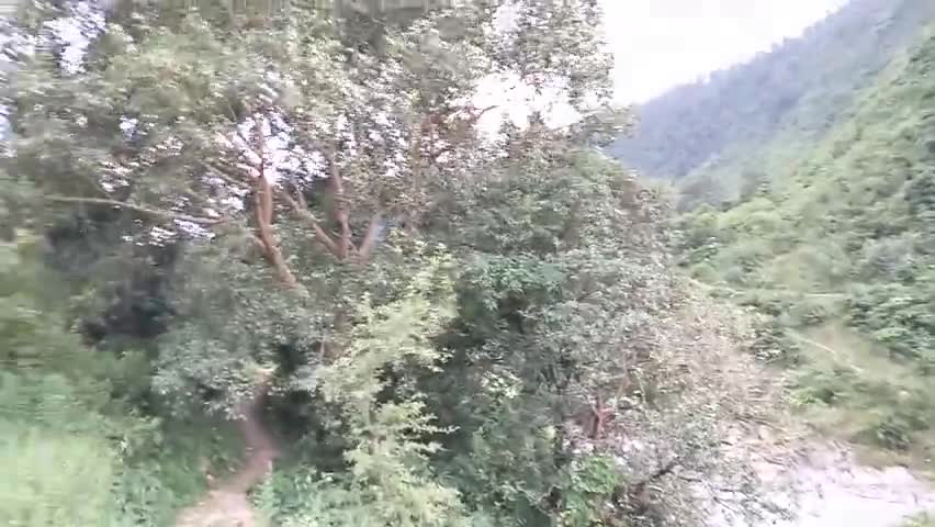 पिथौरागढ़: पिथौरागढ़ के मुवानी में बहुत जायदा हवा आई हैं लोग हुई परेशान#उत्तराखंड#पिथौरागढ़
