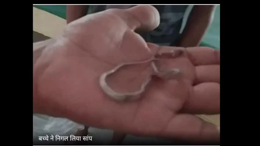 बरेली: खेलते-खेलते सांप को निगल गया बच्चा, मां ने पूंछ देखकर बाहर घसीटा, फिर...

#bareilly_news #news #india