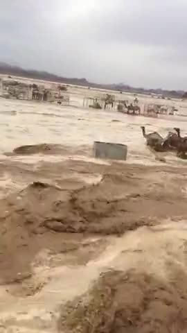 भीनमाल: जैसलमेर के सम में हुई आज की भारी वर्षा के बाद की स्थिति,
रेत के जहाज पानी के जहाज बन गए
#बारिस #राजस्थान