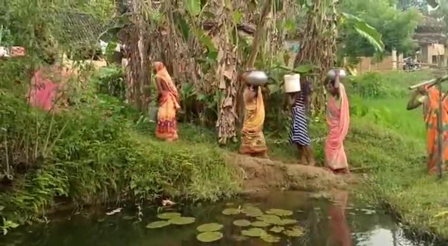 मसलिया: गुमरो गांव के भुलगढ़ा टोले में आज भी डोभा का पानी पीने को मजबूर हैं ग्रामीण, जन प्रतिनिधी नहीं दे रहे ध्यान #जलसमस्या