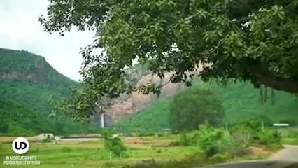 बिहार का नंबर 1 पर्यटन स्थल माँ तुतलेश्वरी भवानी धाम तिलौथु, को बनाने का श्रेय वन विभाग को जाता है। रंगत ही बदल दी #dfo