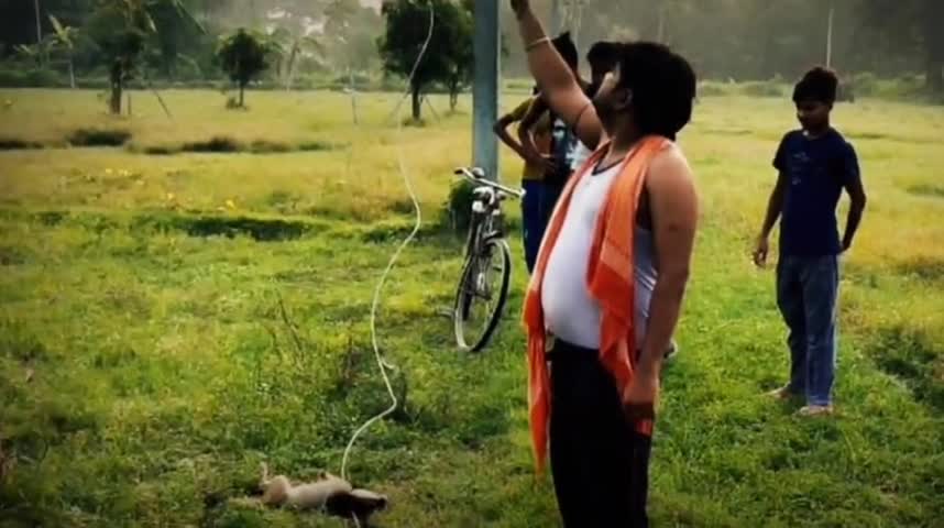 जाले: दोघड़ा में पैदल रास्ते पर टूट कर गिरा बिजली का हाईटेंशन तार, एक जानवर की मौत #विद्युत_विभाग