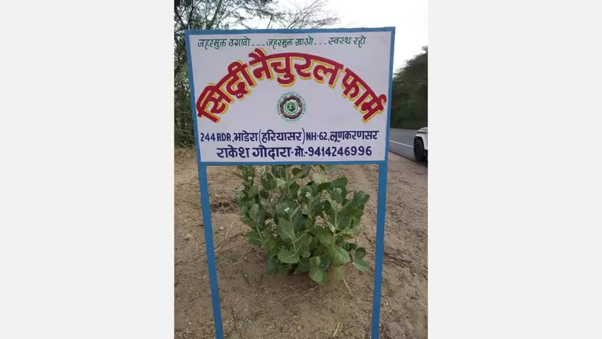 1.5 में 15 से अधिक प्रकार की सब्जियों की खेती करने वाले एक उन्नत किसान
#राष्ट्रीयकिसानविकासमहासंघ