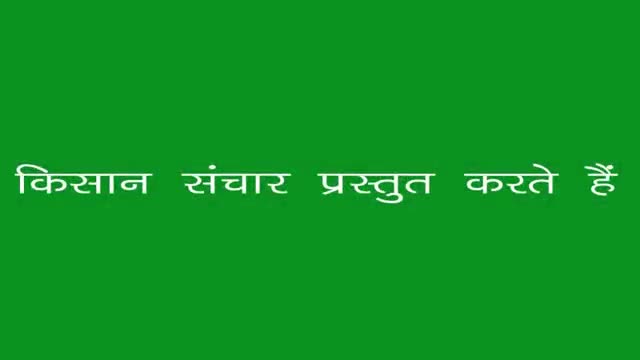 खीरे की खेती के विषय मे जानकारी
#राष्ट्रीयकिसानविकासमहासंघ के यूटुब चैनल AGRICULTURE AND TECHNOLOGY से जुड़े अन्य जानकारी