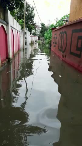 पूर्णिया पूर्व: Purnea ke ward no.24 ke mahamaaya colony me 4ghante ki baarish ke Baad dekhiye kya haal hai. #purnea_dm