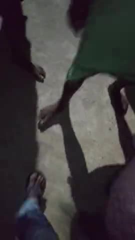 बेनीपुर: रविवार की रात गेहूंमन सांप को मेंढक ने अपना निवाला बनाया।
रघुनंदनपुर तेलिया पोखर के पास।#घोर कलयुग