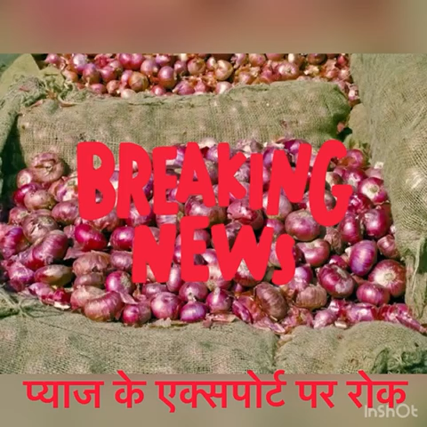 पार्लियामेंट स्ट्रीट: केंद्र सरकार ने लगाई प्याज के एक्सपोर्ट पर रोक, लगातार बढ़ती कीमतों की वजह से लिया गया फ़ैसला #केंद्र_सरकार