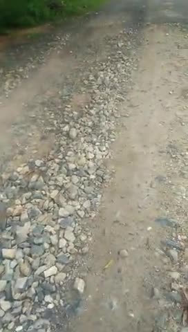 अंबिकापुर: सरगुजा जिला के उदयपुर क्षेत्र के ग्राम ललाती से सोनतरई PMGSY सड़क जर्जर ,ललाती रोड़  से जुड़े 3 सड़कें भी जर्जर हालत#मरम्मत