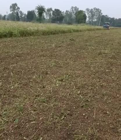 ग्यारसपुर: खिरिया जागीर के किसानों ने अपनी खड़ी फसल पर जुताई करवाई  बीमा की कोई आस नहीं बोले मामा जूठा है #मामा नहीं चलेगा