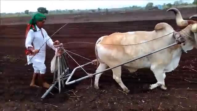 कृषि बिल पर #हाहाकार!
 #मोदी-किसानों की आमदनी होगी दोगुना।
कॉंग्रेस- किसान,मजदूर ओर व्यापारी विरोधी हैं