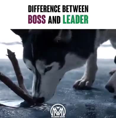 leadership is about empowering the people, not ruling.#politic #siwan #bihar