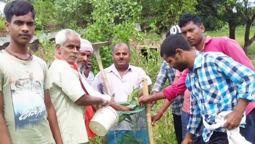 जाले: योगियारा रेलवे स्टेशन परिसर में सामाजिक कार्यकर्ता गोविंद सिंह ने किया पौधारोपण #पर्यावरण_सुरक्षा