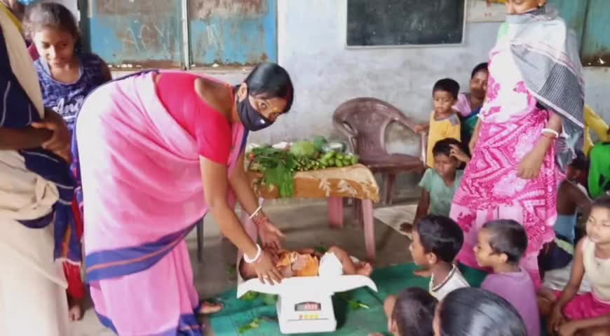 पाकुड़: पोषण अभियान के तहत आंगनवाड़ी सेविकाओं ने पाकुड़ में लगाया फलदार पौधा #आंगनवाड़ी #पौधरोपण