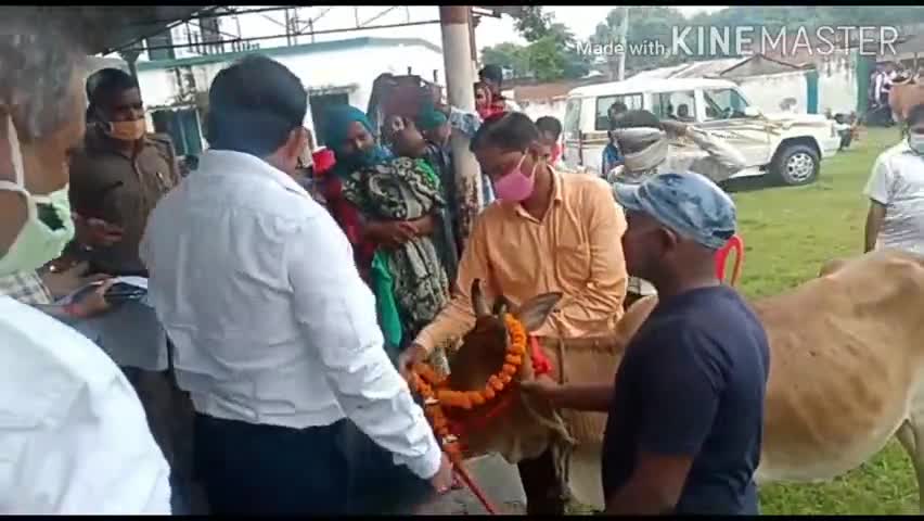 फैज़ाबाद: अयोध्या में कुपोषित बच्चों के माता-पिता को डीएम ने सौंपी गाय, पोषण के लिए प्रतिमाह मिलेंगे ₹900 #कुपोषण #dm