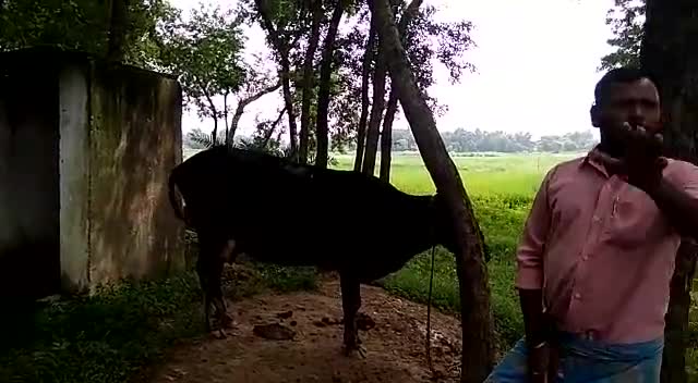 हुसैनाबाद: समाजसेवी के शिकायत के बाद #स्वच्छ_भारत #स्वस्थ_भारत अभियान के तहत बने शौचालय का ब्लॉक कोऑर्डिनेटर ने किया निरीक्षण