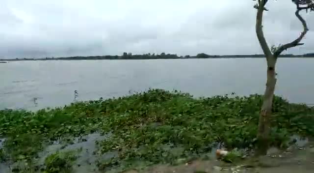 किशनगंज: डोंक नहीं का जलस्तर बढ़ने से पोठिया के Khajurbari के पास सड़क पर चढ़ा पानी #flood2020 #news #biharnews