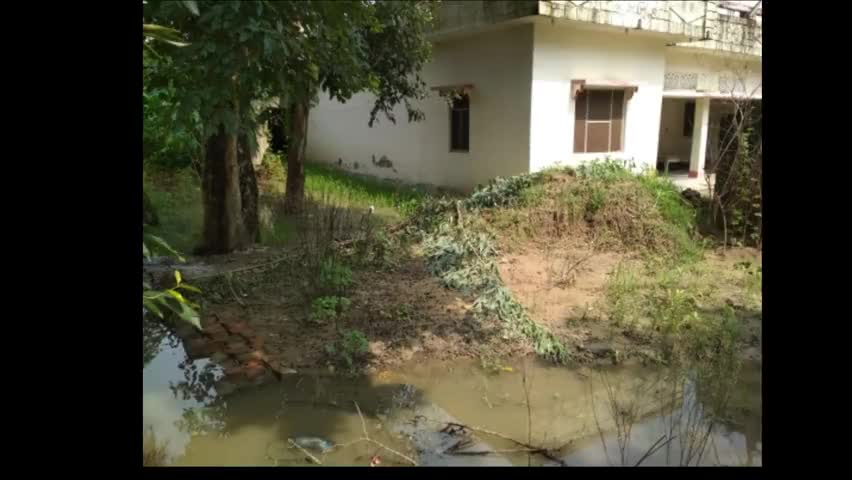 सलेमपुर: लार: सजॉव गांव मे जलजमाओ से लोगो को परेसानी हो री है, ग्रामप्रधान की लापरवाही के वजह से। #लार