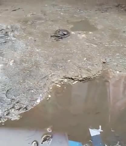 फारबिसगंज: ya vedio hamera jogbani Hart ka hai #viral #video #viral ##kuch dhayan dizeay ispa