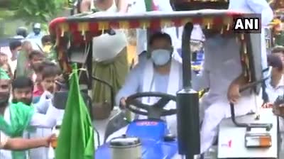 मधेपुरा: #किसान_बिल के विरोध मे#तेजस्वी_यादव ने पटना में #ट्रैक्टर चलाकर किसानों के भारत बंद को #राजद का समर्थन दिया