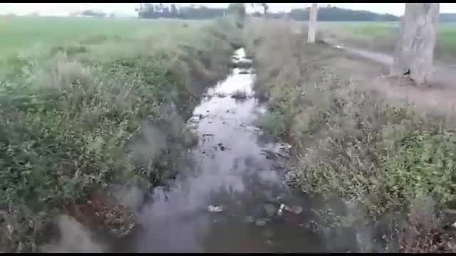 सेवराई: गोड़सरा के दिलदारनगर माइनर में पानी नहीं आने से किसान चिंतित, दी आंदोलन की चेतावनी #खेती_किसानी