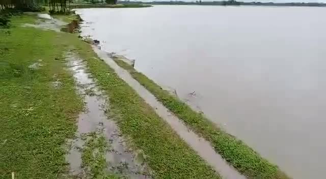 किशनगंज: किशनगंज में बाढ़ से बेहाल जीवन, एकाएक कट रहा है घर गाँव मंदिर मस्जिद और कब्रिस्तान। #flood2020 #biharnews #dailynews