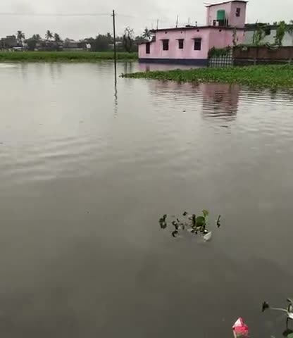 फारबिसगंज: dhatta tola islampur me mushladhar barish ke wajah se bhad aa gya hai #like #shair #coment