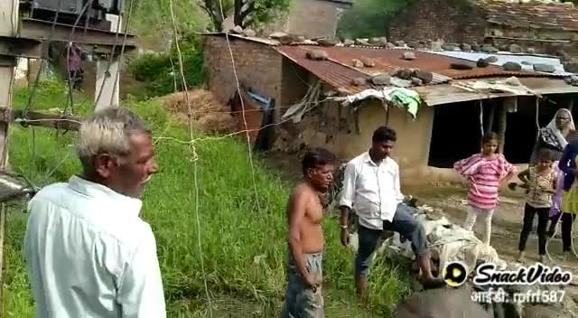 बड़नगर: ठिपी से ऐक भेस मर गई गांव. पलसोड़ा 
तहसील बनडगर जिला उज्जैन
#speakupforindia #speakupforindia