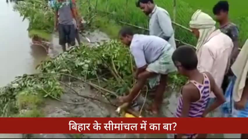 किशनगंज: गाँव को कटान से बचाने की जद्दोजहद करते ग्रामीण
#flood2020 #DailyNews #BiharNews #biharelections #Kishanganj