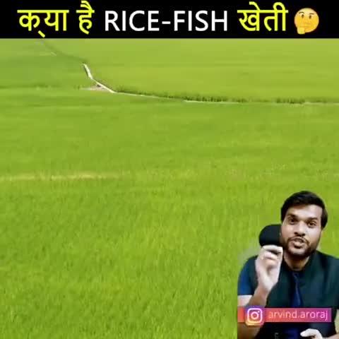 लाडपुरा: new type #kheti #farmar