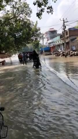 बरौली: Malikana #gopalganjflood #gandak #bihar ﻿#manzoor743